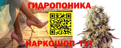 скорость Лесосибирск
